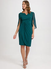 Chiffon Sleeve Dress