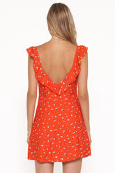 Lacey Mini Dress - Red Floral